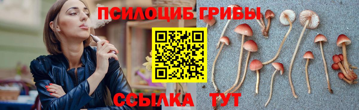 Псилоцибиновые грибы прущие грибы  Вход с VPN  Верхняя Пышма 